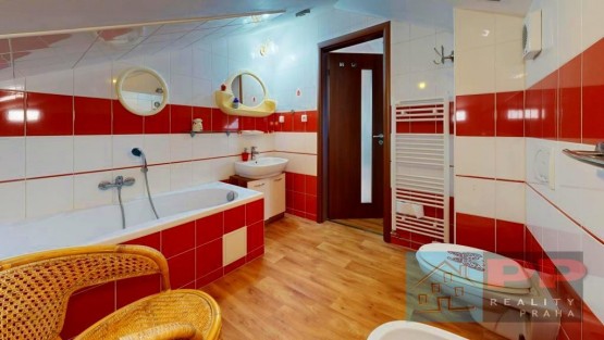 Rd-Radonice-Plachuta-Bathroom 1.jpg