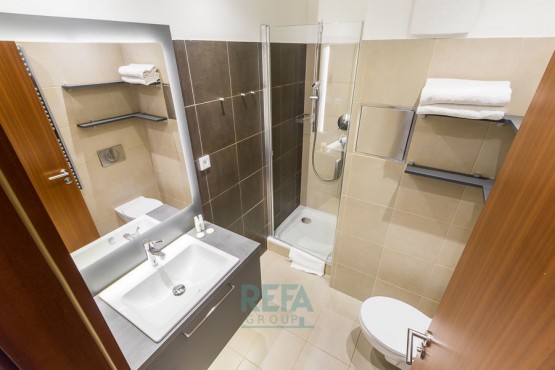 e-529-2020-pronajem-apartmany-praha-albertov-rental-apartments-11.jpg